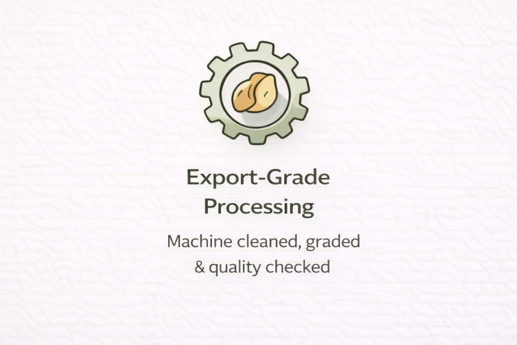 Export Grade Processing