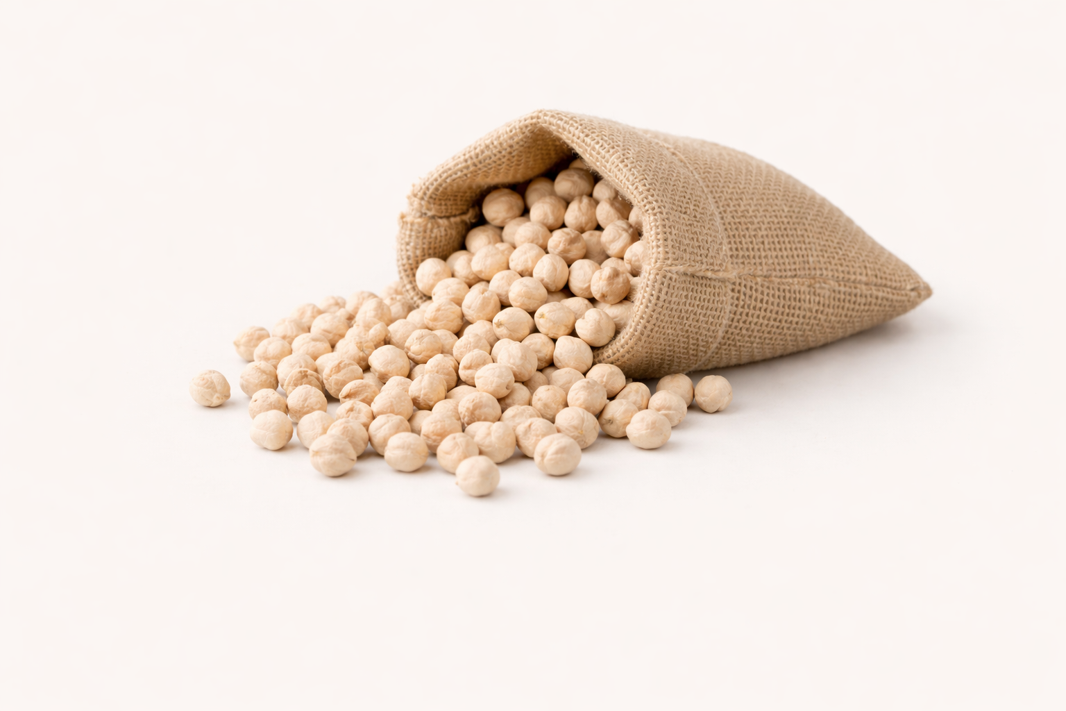 Best White Chickpeas Export from INDIA