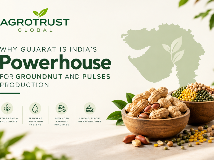 Groundnut and Pulses Production